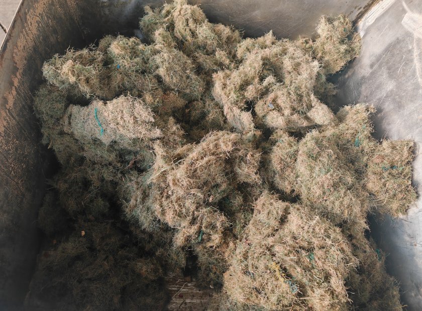 漁網(wǎng)廢渣螺旋壓榨脫水處理機(jī)器視頻